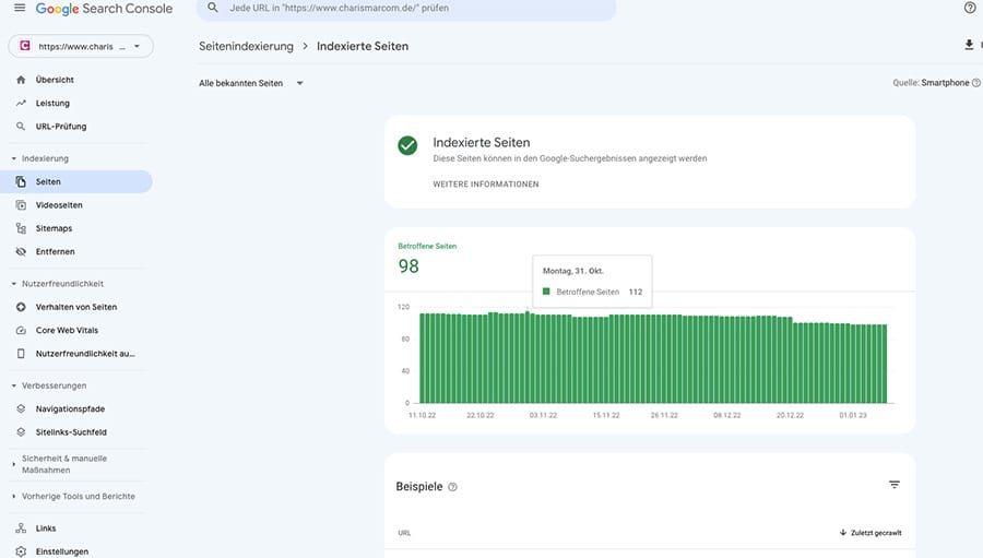 SEO Check: Google Search Console
