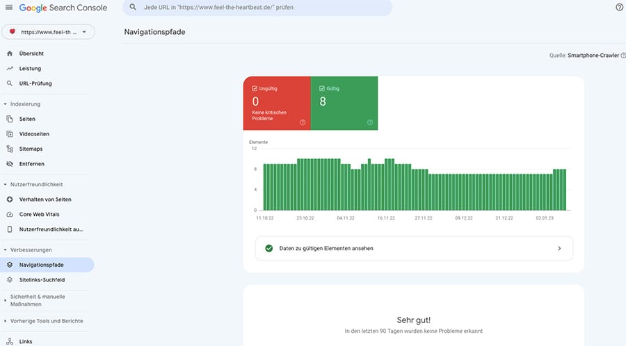 SEO Check: Google Search Console